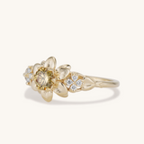 Natsu Ring