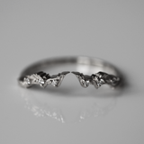 Band of the Sacred Realm