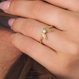Fairy Ring