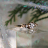 Guardian Spirit Ring, Extra